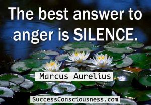 The Best Answer to Anger Is Silence