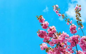 Enlightenment Spiritual Awakening Nonduality