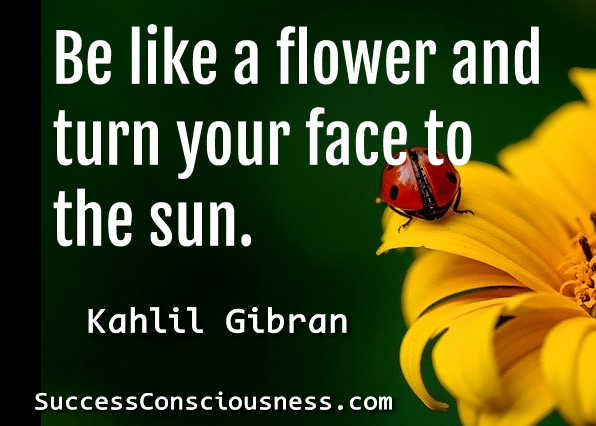 Be Like a Flower