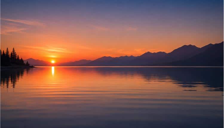 Active Stillness