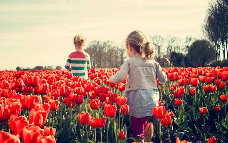 Getting Kids into Nature
