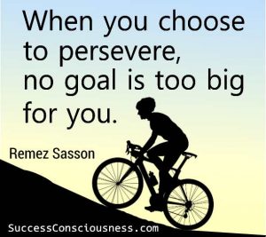 When You Choose to Persevere, no Goal Is too Big for you