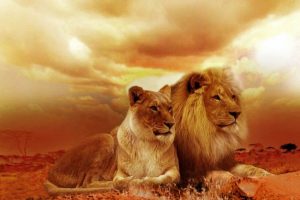Courage Quotes