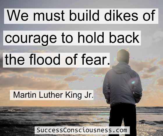 Dikes of Courage