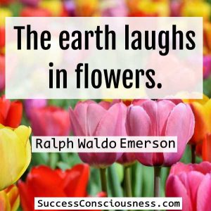 he earth laughs in flowers