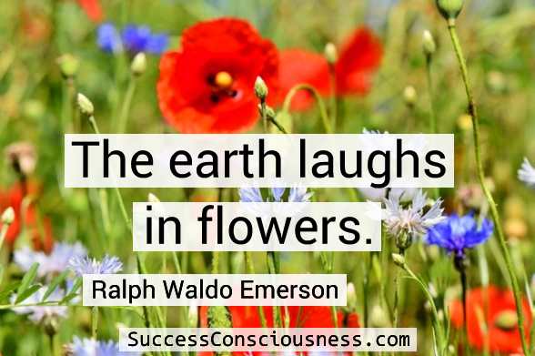 The Earth Laughs in Flowers