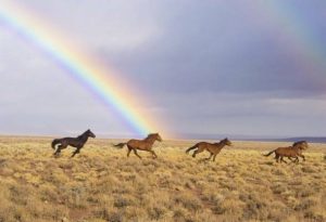Quotes about Freedom