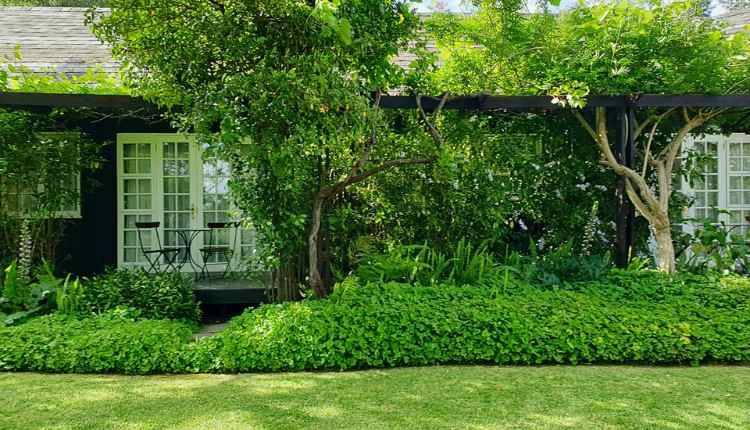 Garden and Mental Health