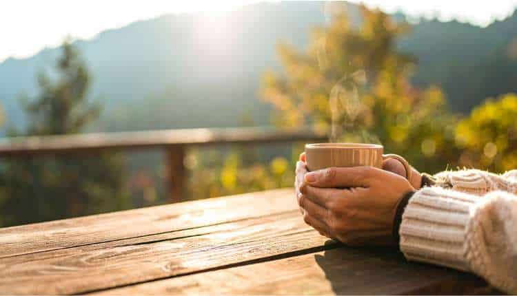 Hands holding a warm cup of coffee during a quiet morning affirmation practice
