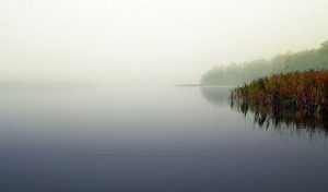 Inner Silence Peace