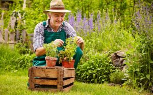 Gardening