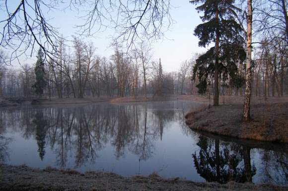 Meditation Retreat