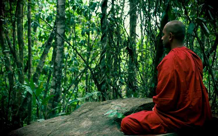 The Swami