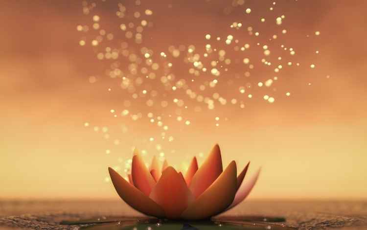 Nonduality
