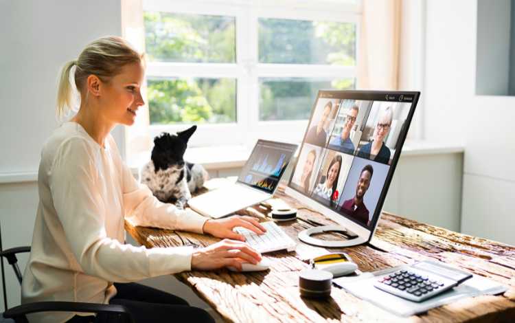 Online School