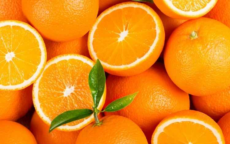Orange Quotes
