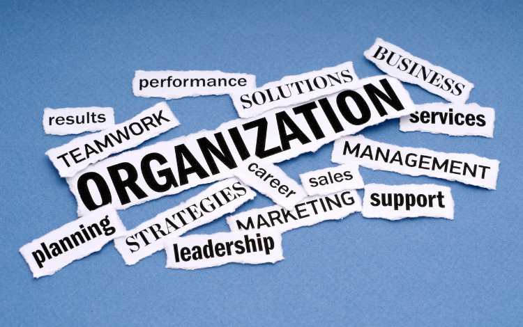 Organizational Structure