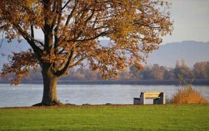 Benefits of Peace and tranquility