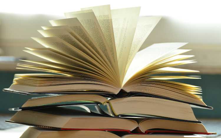 Motivating Books