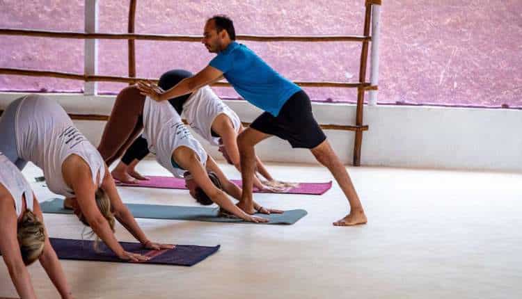 Hands-on yoga training, Goa