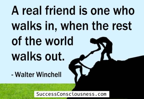 436 Best Friendship Quotes Celebrating Support and Loyalty