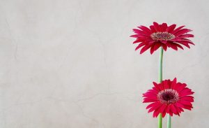 Help or Hurt Success
