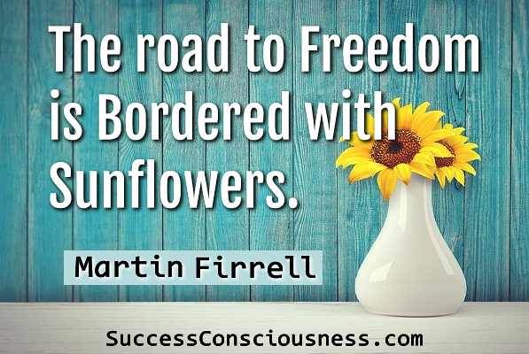 The Road to Freedom
