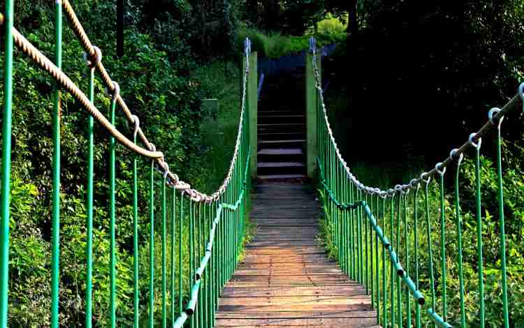 Trying to Cross a Bridge