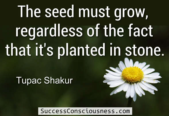 The Seed must Grow