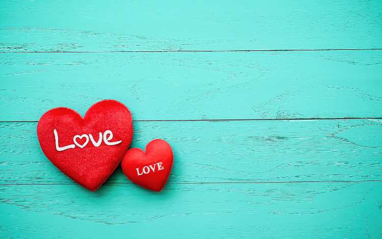 Reasons Why People Seek Love