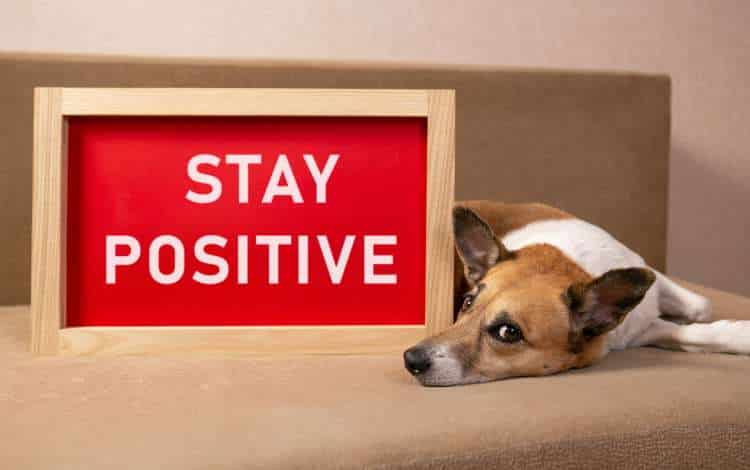 How to Stay Positive