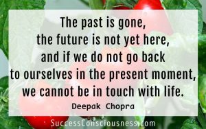 Advice in Deepak Chopra Quotes