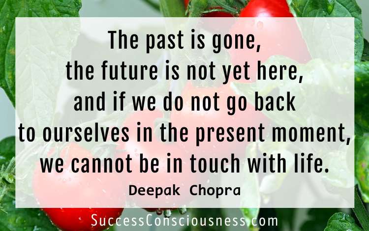 Advice in Deepak Chopra Quotes