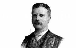 Theodore Roosevelt Quotes