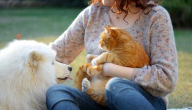 Emotional Support Animal